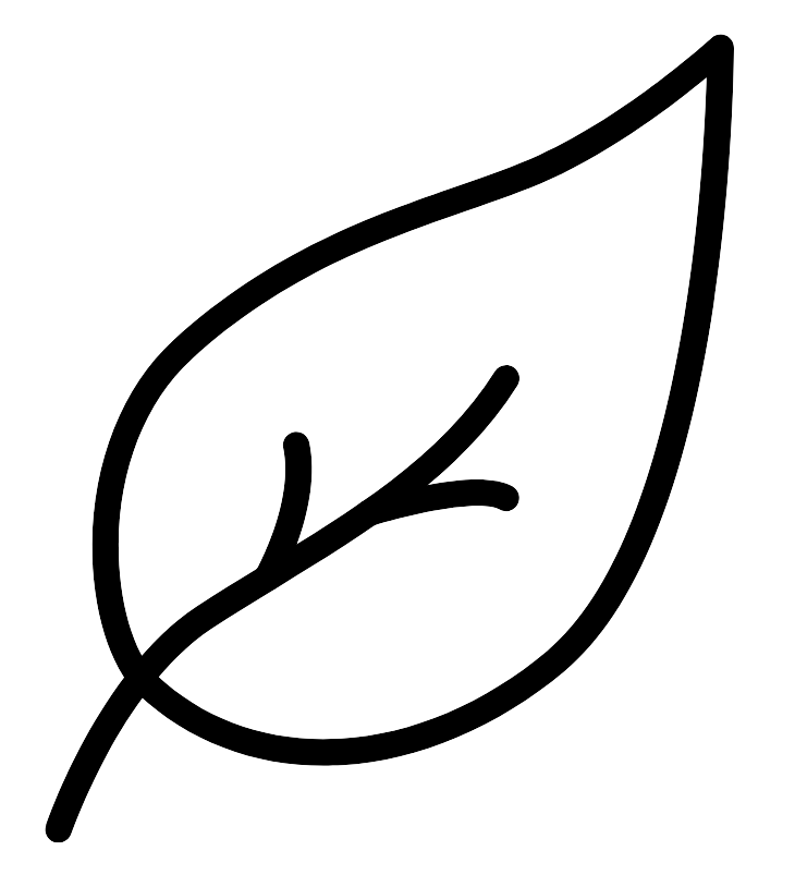 Natural Skin Care and Spa Icon